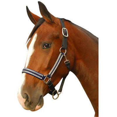 Intrepid Silverado Halter