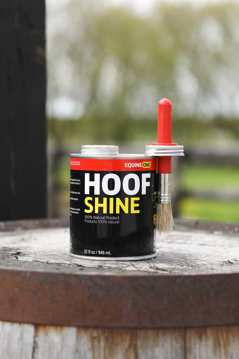 Equine One Hoof Shine