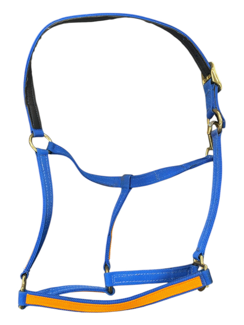 Walsh Victory Halter *NWT* - Blue/Orange - Size 7 (Reg Horse) - USED