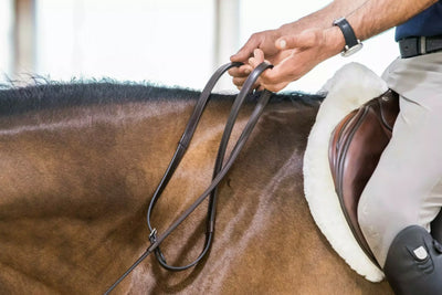 Thinline Lined Reins