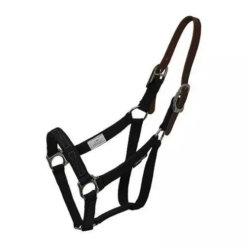 Thinline Turnout Halter for Grazing Muzzle