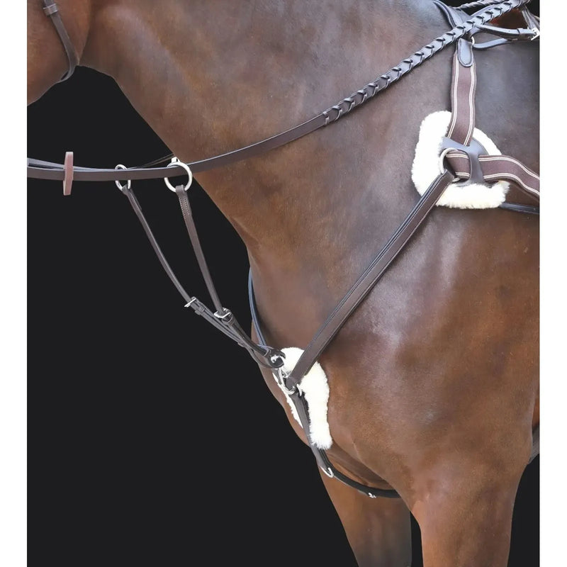 Shires Rossano Five Point Breastplate