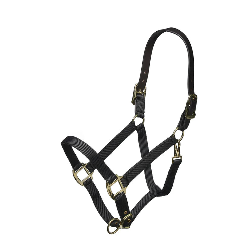 Shires Nylon Halter With Breakaway Head Strap