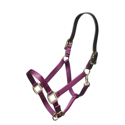 Shires Nylon Halter With Breakaway Head Strap