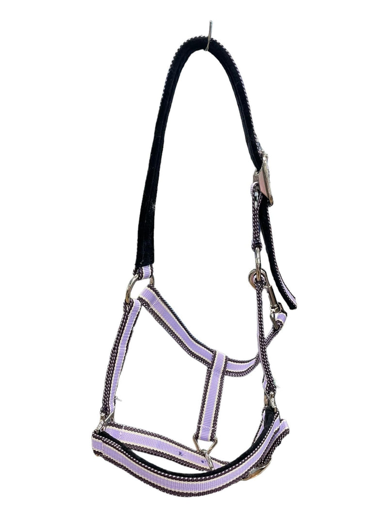 Amigo Halter - Lavender - C/S - USED