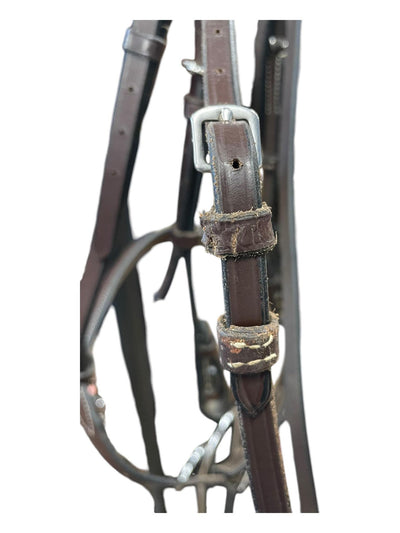 Black Oak Bridle/Reins - Brown - F/S - USED