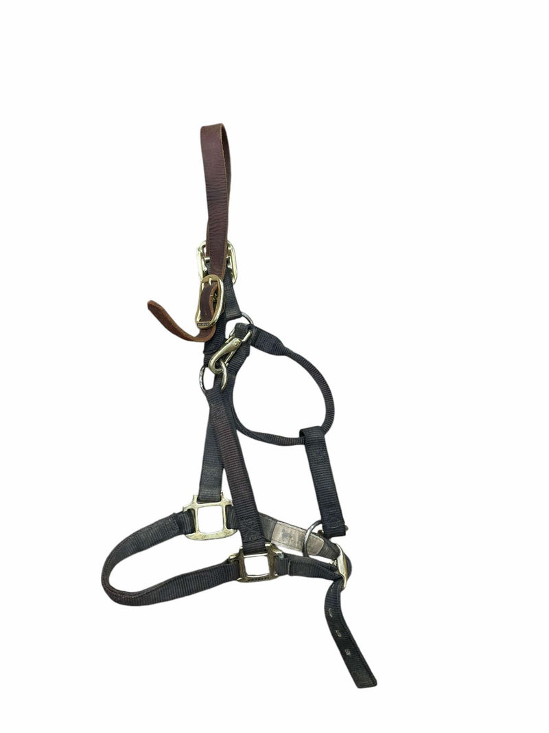 Weaver Halter - Black - Average Horse - USED