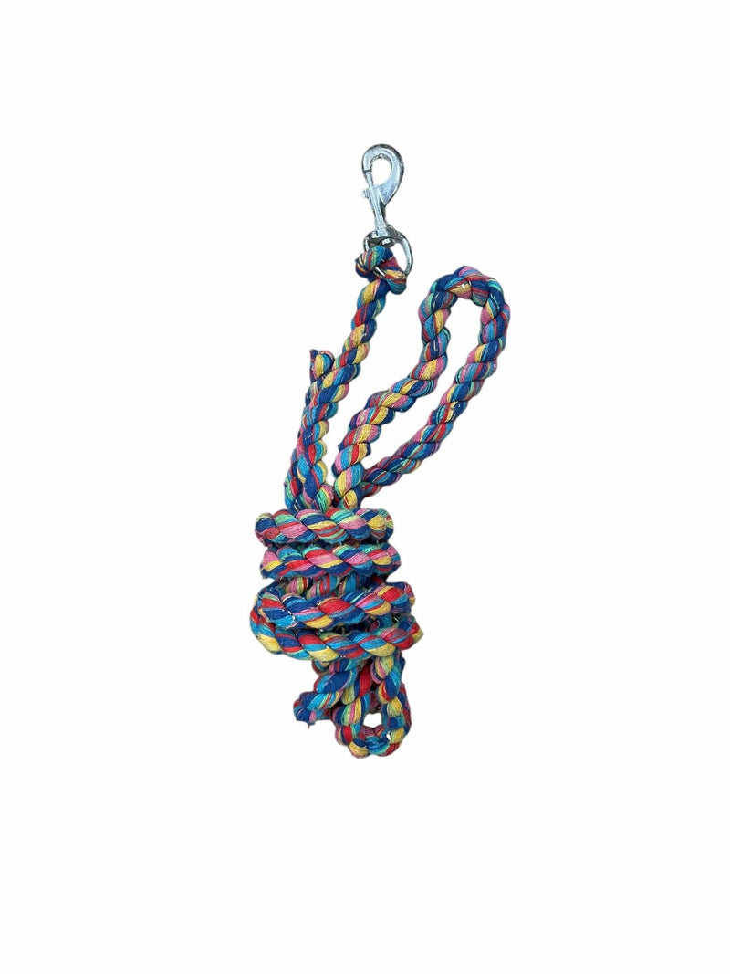 Lead Rope - Rainbow - USED