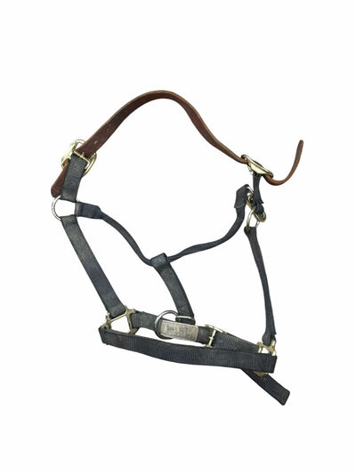 Weaver Halter - Black - Average Horse - USED