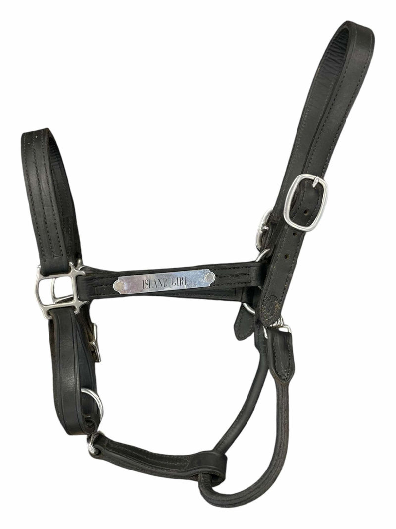 Central KY Leather Halter *W/ Nameplate* - Black - Est. F/S - USED