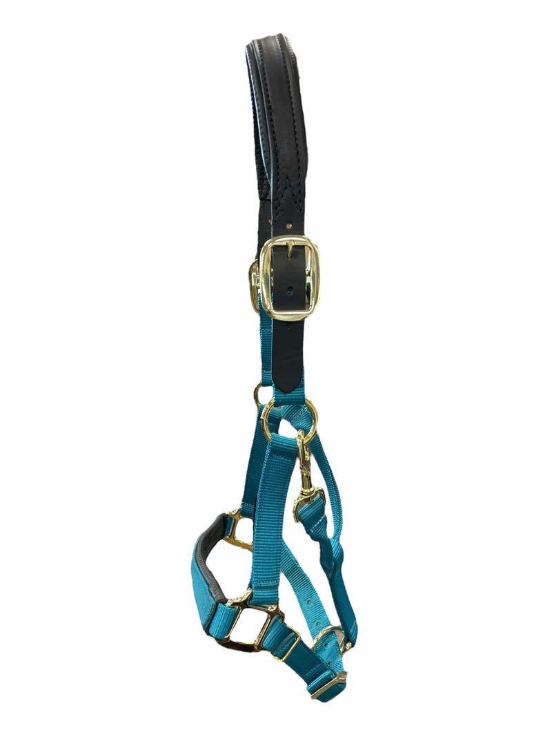 Unbranded Nylon Halter - Teal - C/S - USED