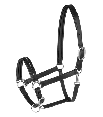 Waldhausen Star Leather Diamond Halter