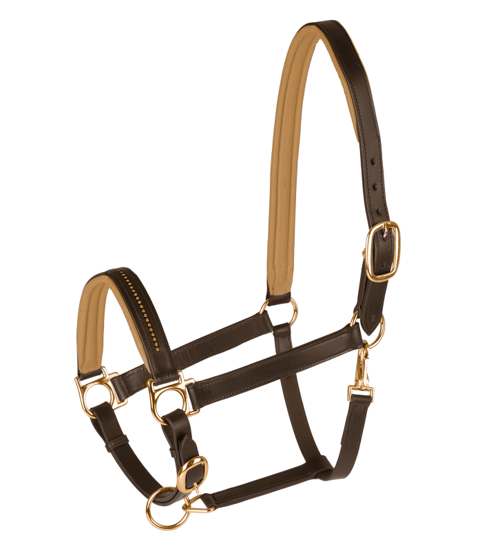 Waldhausen Star Leather Diamond Halter