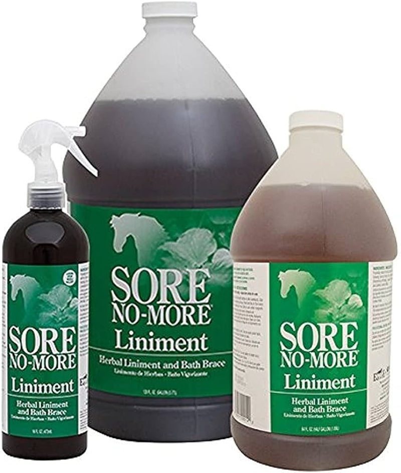 Sore No-More Liniment Spray