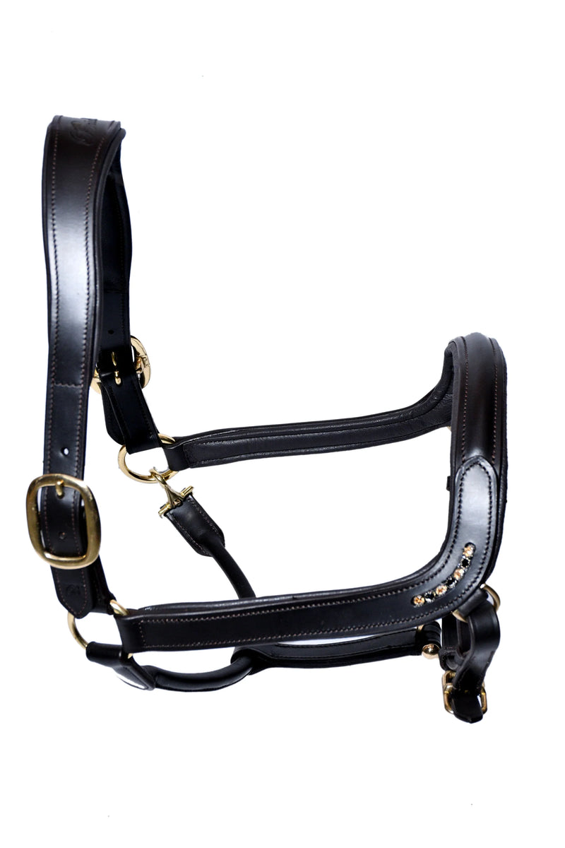 Bridleberry Leather Show Halter w/row of Gems at the Curve of the Nose Band