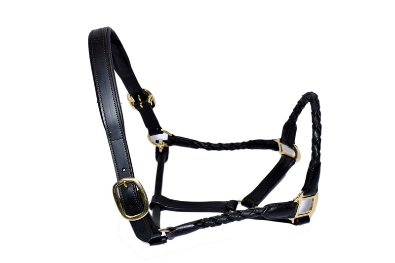 Leather Halter w/ Barrel Braided Nose and cheek Design