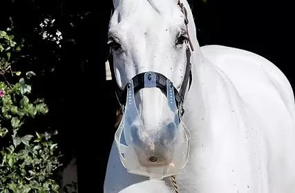 Thinline Flexible Filly Grazing Muzzle