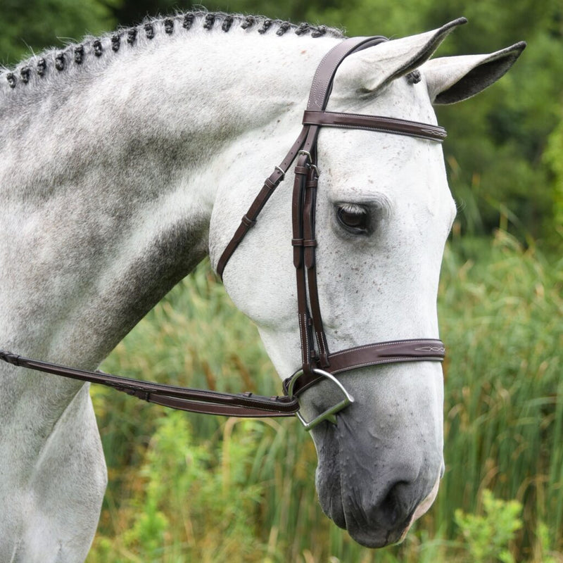 Red Barn "Indio" Bridle