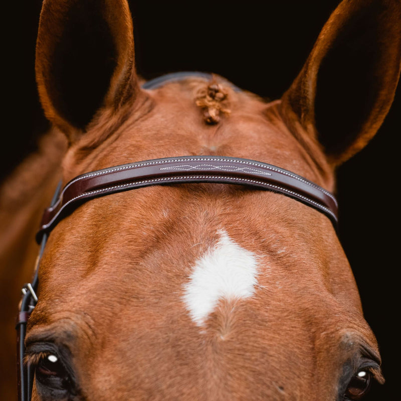 Red Barn "Indio" Bridle