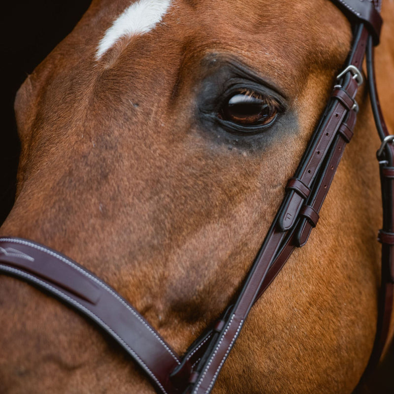 Red Barn "Indio" Bridle