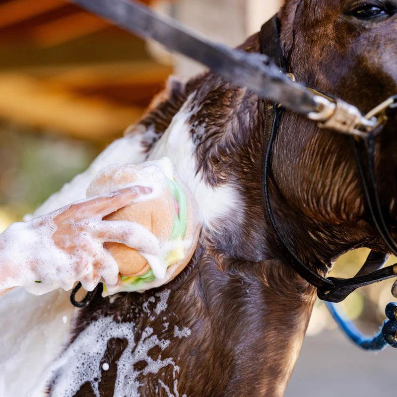 The Tack Hack Burger Sponge