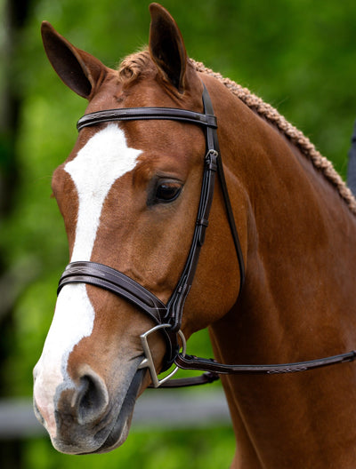 KL Select Red Barn Hudson Bridle