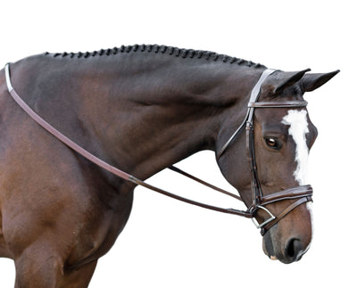 KL Italia Millbrook Bridle