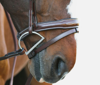 KL Italia Millbrook Bridle