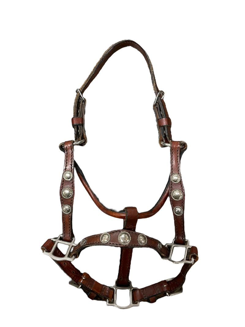 Yearling Show Halter - Brown/Silver - USED