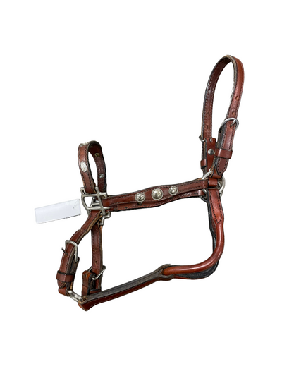 Yearling Show Halter - Brown/Silver - USED