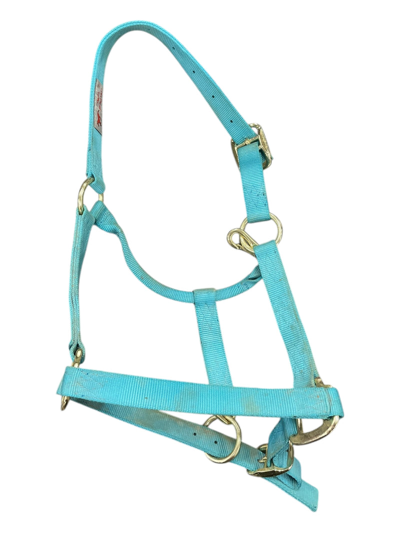 Unbranded Halter - Light Blue - Small Horse (500-800 Lbs) - USED