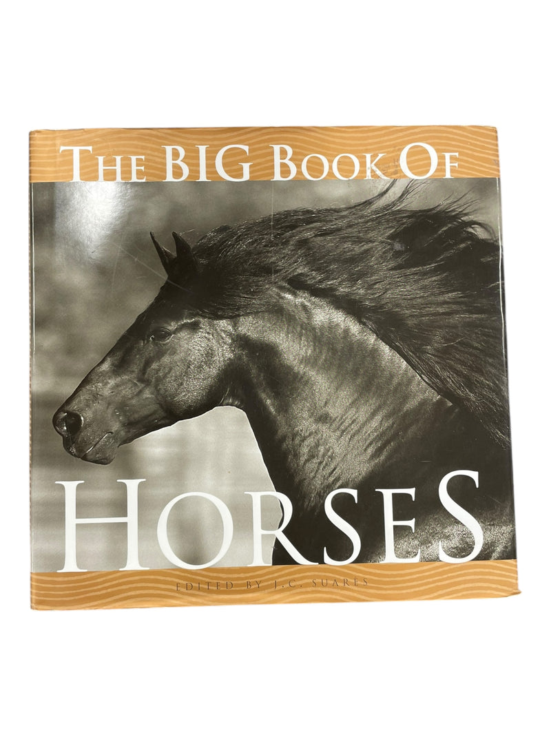 The Big Book Of Horses - USED