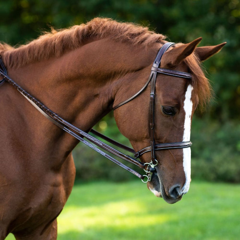 Red Barn Fancy Plain Reins