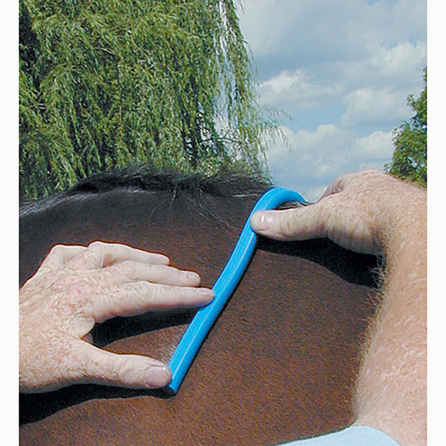Nunn Finer Saddle Fitting Curve