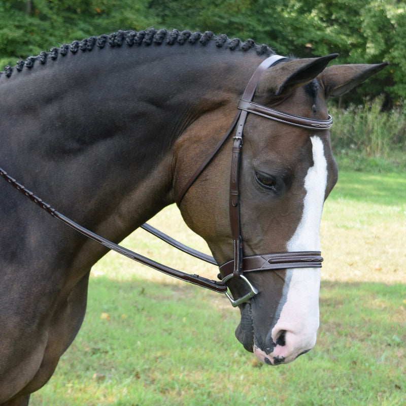 Red Barn "Sonoma" Bridle