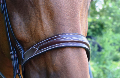 Red Barn "Sonoma" Bridle