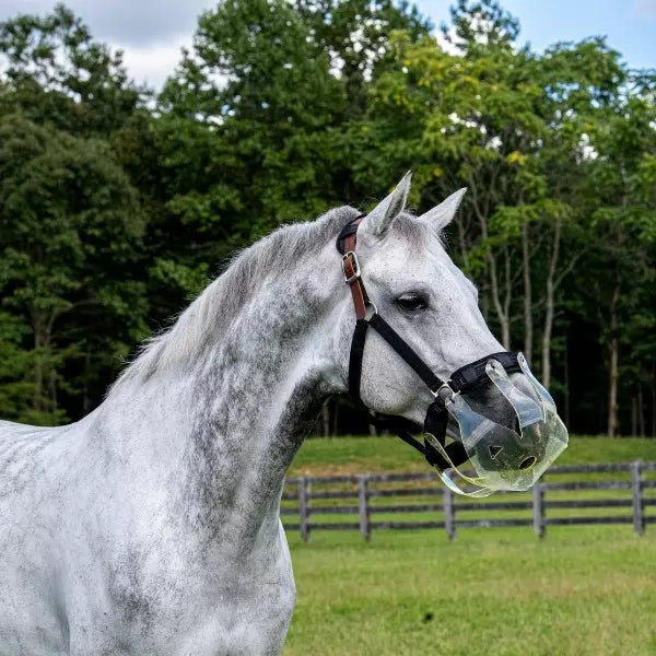 Thinline Flexible Filly Grazing Muzzle