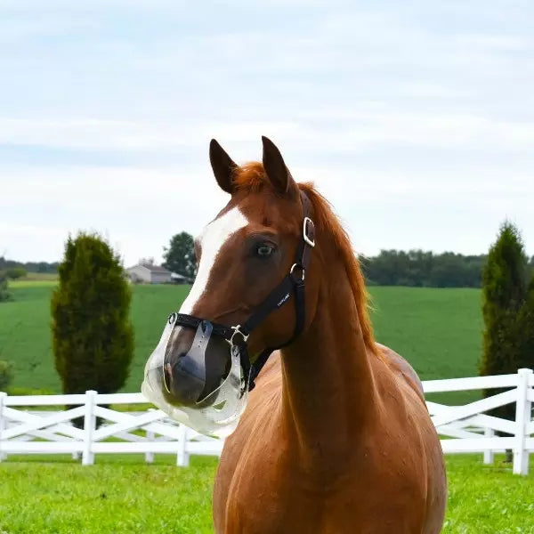 Thinline Flexible Filly Grazing Muzzle