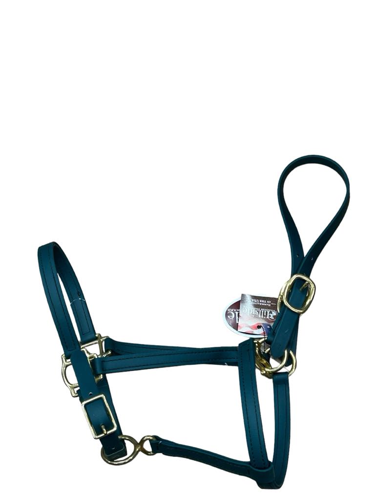 Hillside Harness Hardware Biothane Halter - *NWT* - Green - Size 7 - USED