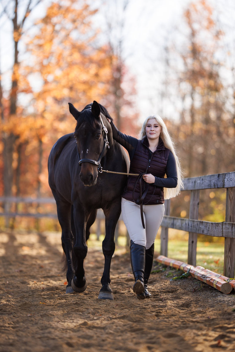 Bridleberry Leather Show Halter w/row of Gems at the Curve of the Nose Band