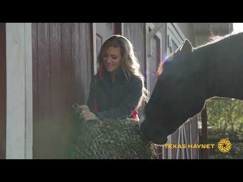 Texas Haynet Square Bale Hay Net